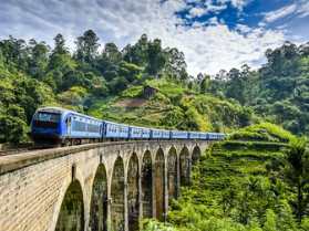 Day 7: Bandarawela 