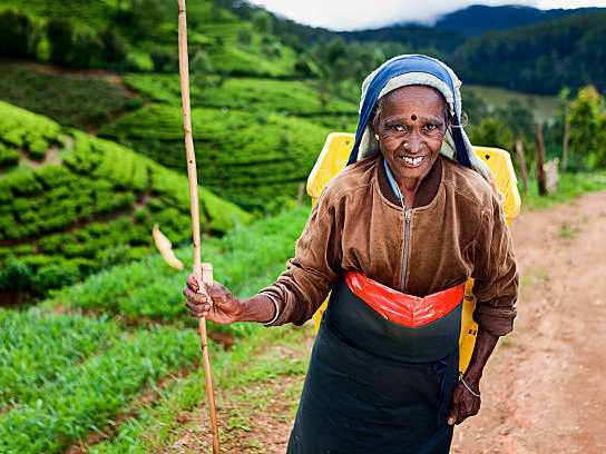 Nuwara Eliya